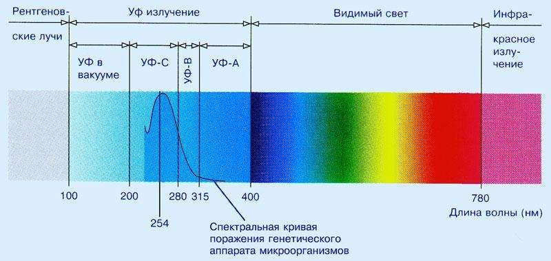 1800124-3qmJy.jpg