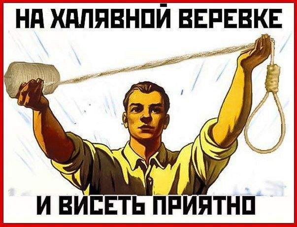 2565415-JGRR9.jpg