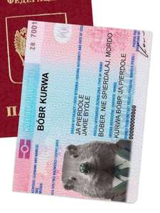 Обложка на паспорт Bobr Kurwa