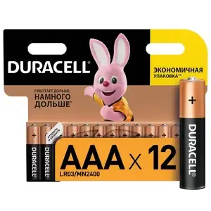 Батарейки щелочные (алкалиновые) Duracell Basic ААA, 1,5В, 12шт (мизинчиковые), по Ozon карте