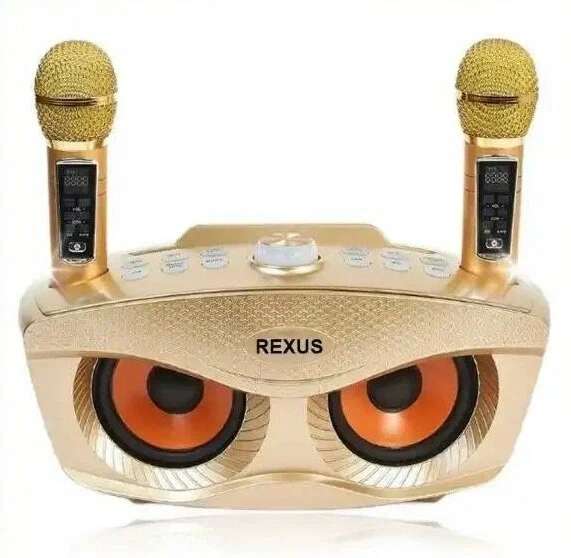 Сова - Rexus SD-306 Plus - bluetooth колонка-караоке "Сова"с 2 беспроводными микрофонами (цена с Я.Картой/Альфой, может отличаться)