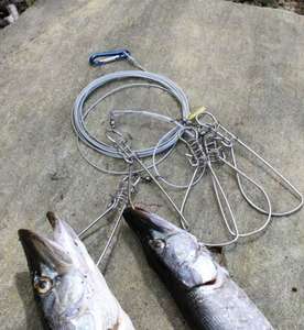 Кукан рыболовный 5 карабинов, металлический