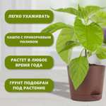 Набор для выращивания растений Plant Republic Три суперострых перца: Тринидад Скорпион шоколадный, Призрак, Хабанеро