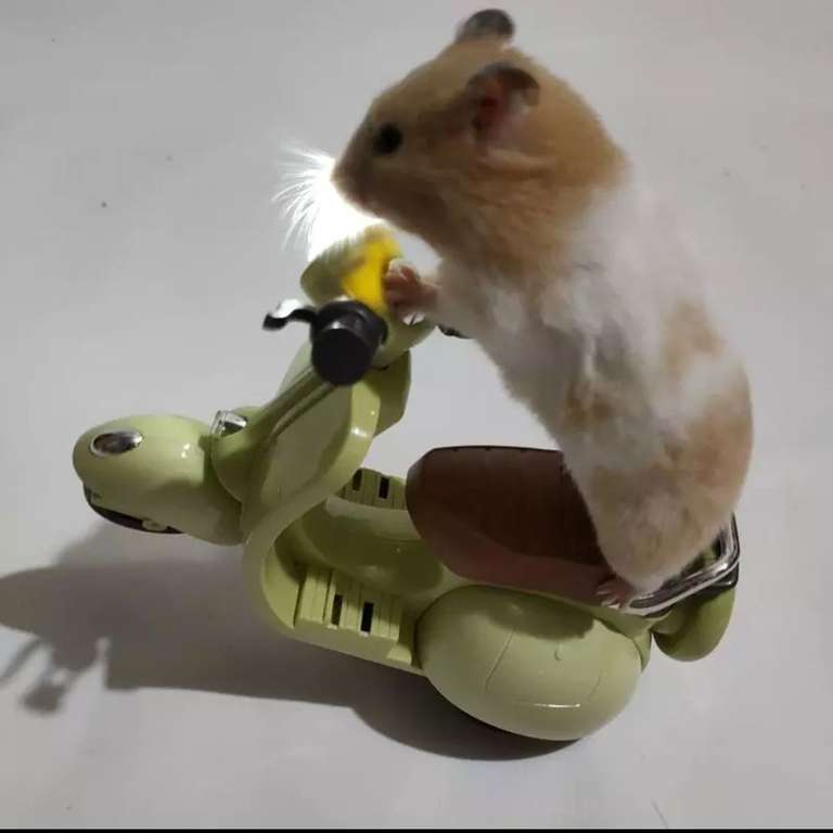 Трюковой мотоцикл для хомяка hamster toy motorcycle (электрический с подсветкой)
