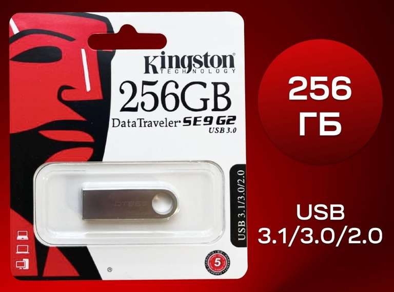 USB Флеш-накопитель Kingston SHSX100a/bc 256 ГБ, серебристый
