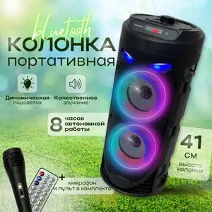 Портативная колонка Bluetooth с караоке