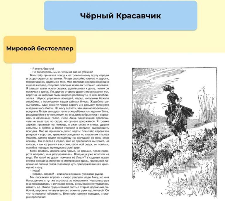 Книга «Чёрный Красавчик», Анна Сьюэлл (с WB кошельком)