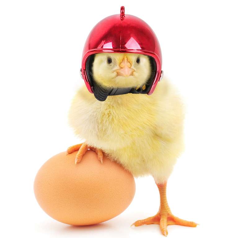 Головной убор для домашних животных Chicken Helmet