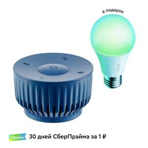 Умная колонка Sber SberBoom Mini Dark Blue и умная лампа в подарок + возврат 51% (SberBoom Lite Blue в описании)