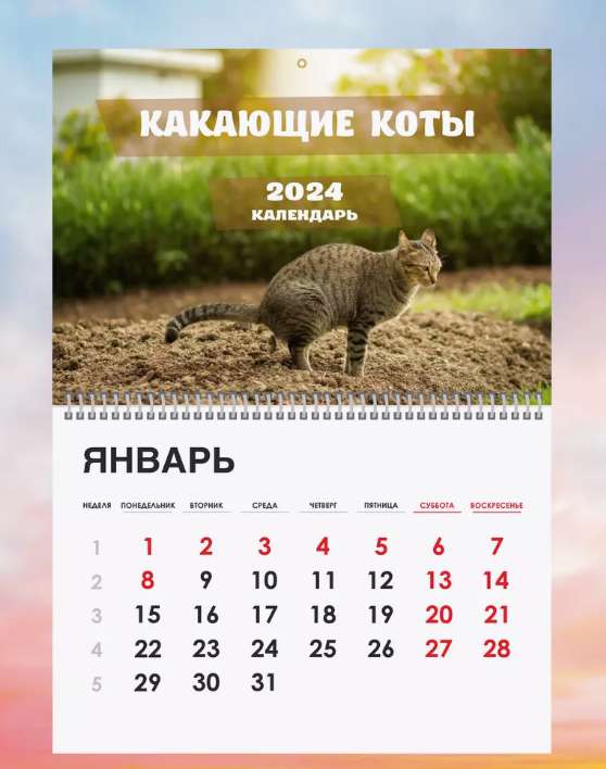 Календарь на 2024 год "Какающие коты/собаки"