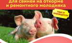 Премикс Борька для свиней на откорме и ремонтного молодняка по 1кг 5 пакетов
