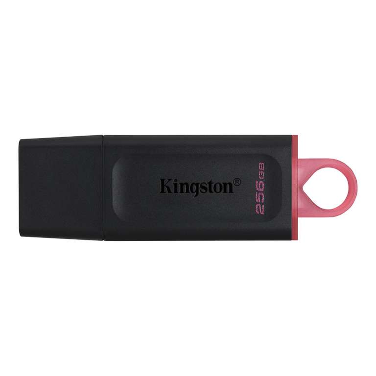 USB Флеш-накопитель Kingston DTX 256 ГБ (Ozon Global)
