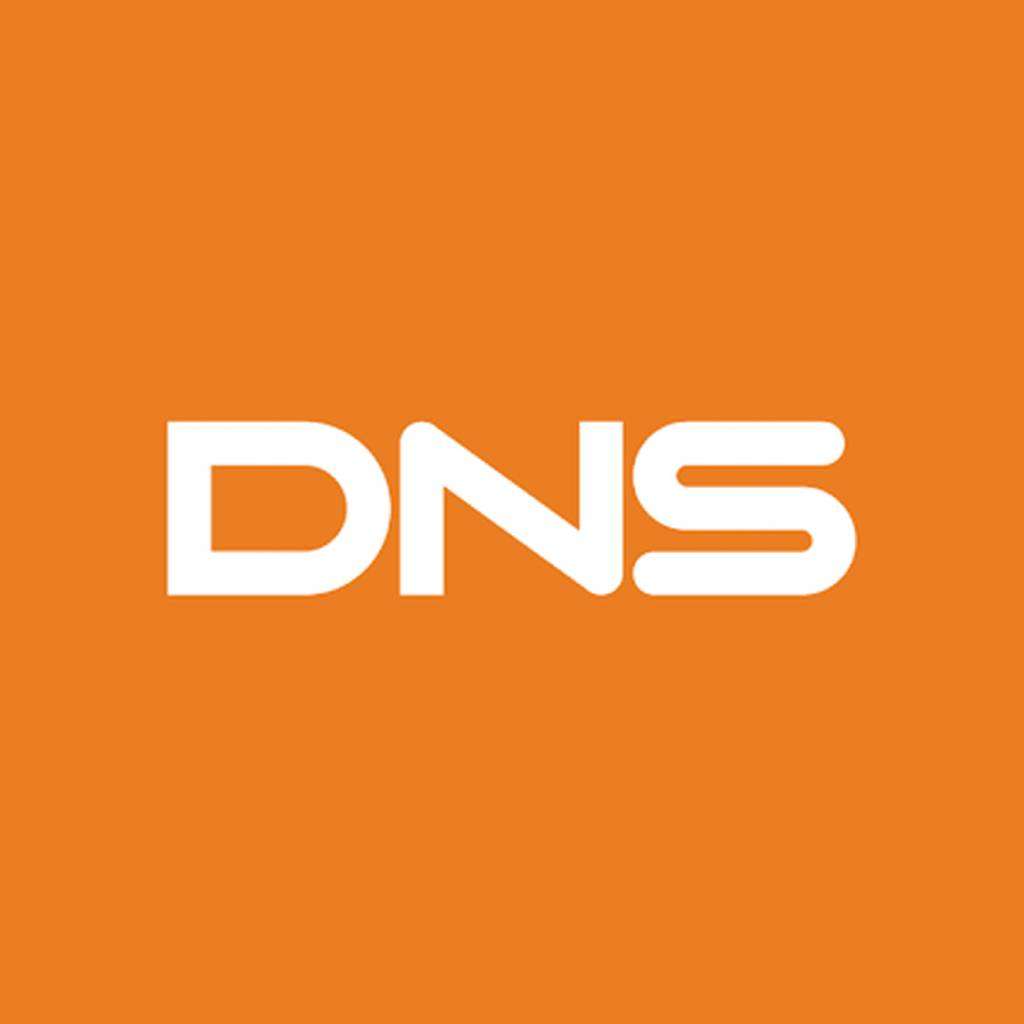 Сайт днс саратов. DNS логотип. ДНС эмблема. ЛНС. ДНС Купино.
