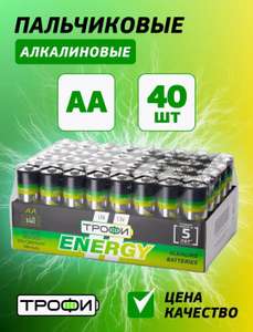 Батарейки щелочные пальчиковые AA Трофи Energy LR6-40 BULK 40 шт