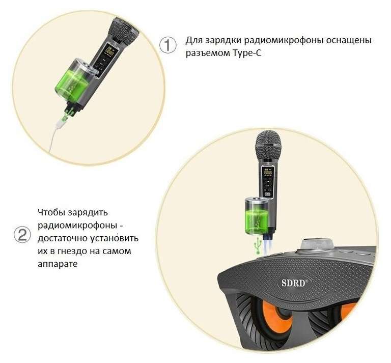 SDRD SD-306 Plus - bluetooth колонка-караоке с беспроводными микрофонами