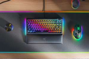 Клавиатура механическая проводная Razer BlackWidow V4 75% (RZ03-05000100-R3M1)