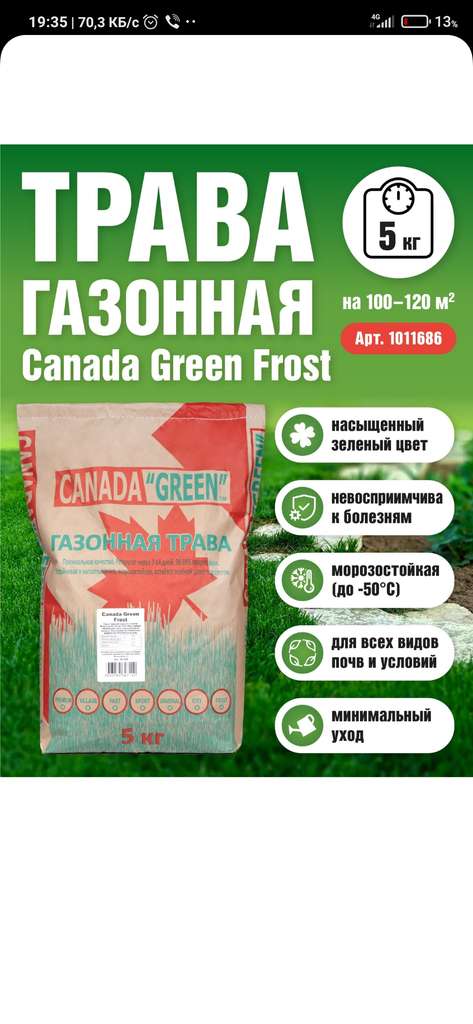 Канада супер Грин газонная трава. Канада Грин газонная трава цена. Канада Грин травоядное. Канада грин газонная трава