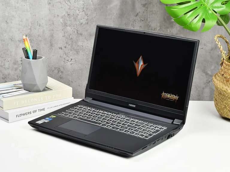 Ноутбук Hasee Shenzhou God of War TX9 Intel Core i5-11400H, 16 + 512 ГБ, NVIDIA GeForce RTX 3070, Windows Home (из-за рубежа, с картой OZON)
