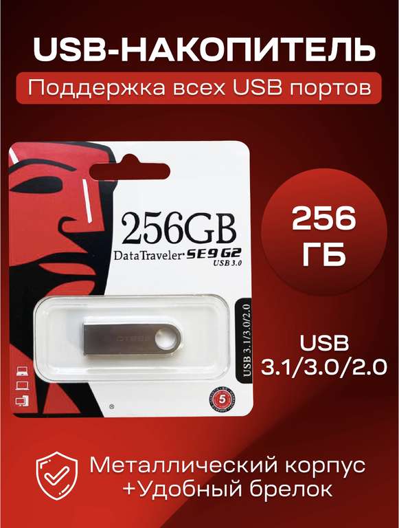USB Флеш-накопитель 256 ГБ, серебристый