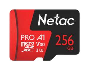 Карта памяти Netac P500 Extreme Pro microSD 256GB