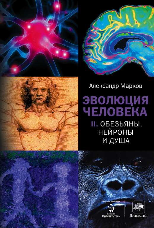 Бесплатные книги от Всенаука (например, книга Ричарда Нисбетта "Что такое интеллект и как его развивать. Роль образования и традиций")