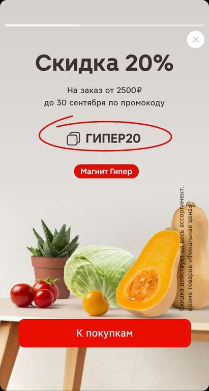 Скидка 20% от 2500₽ в Магнит Гипер и 30% от 2000 в Магнит Косметик.