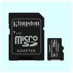 Карта памяти microSD 256 ГБ / microSDHC Canvas 256 ГБ / SDSa/bc (цена с ozon картой)
