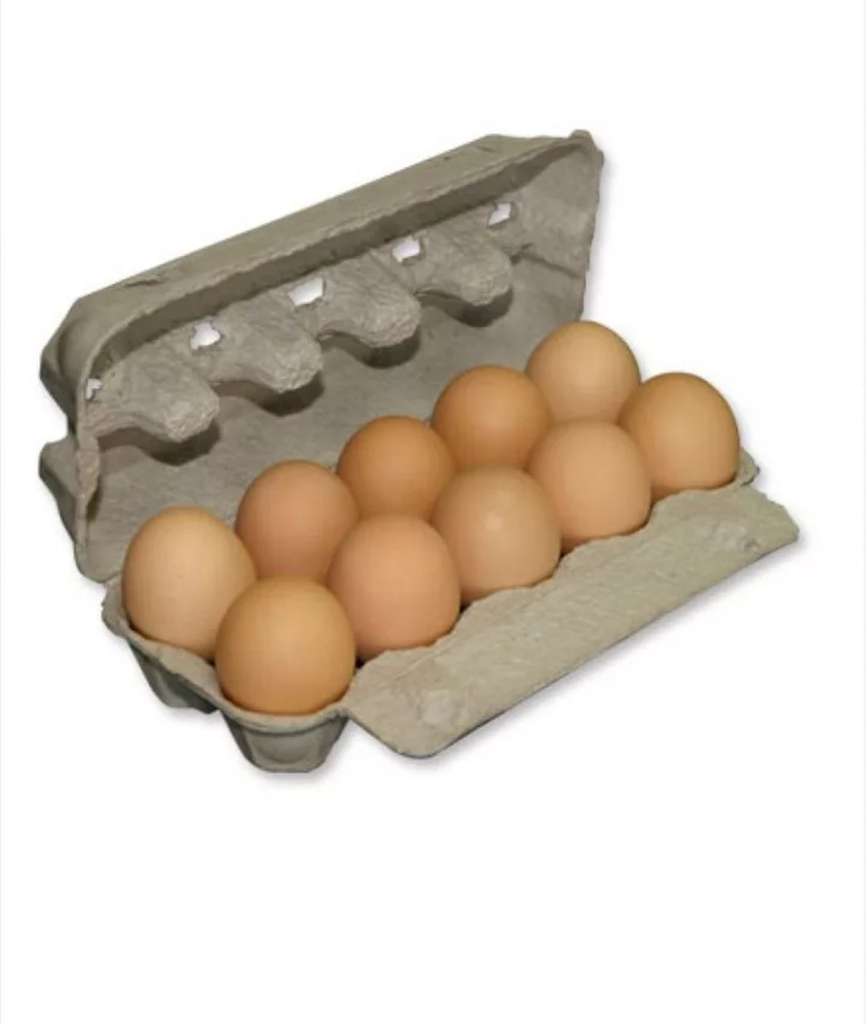 Упаковка для яиц купить. Картонные коробки для яиц. Лоток для яиц. Куриные яйца в лотке. Ячейки для яиц.