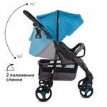 Маневренная коляска Babyton Comfort Plus (три цвета: бежевый, голубой, пурпурный)