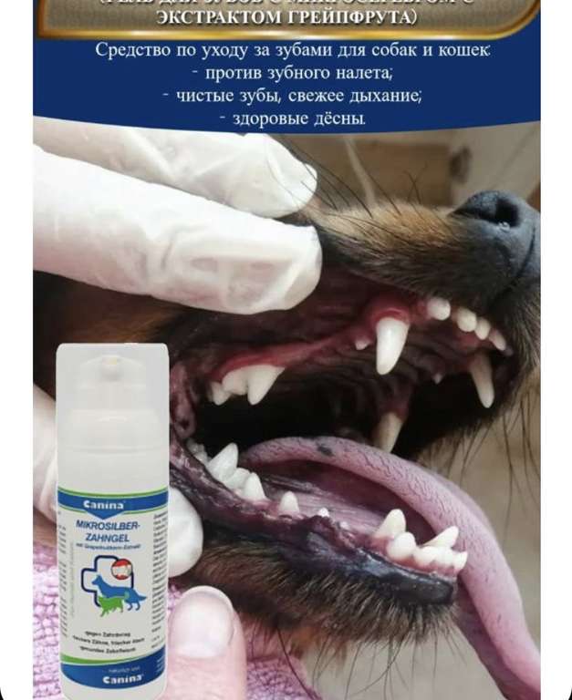 Гель для чистки зубов для собак и кошек Canina MIKROSILBERZAHNGEL, 50 мл (с картой Ozon)