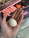 [Омск] Яйцо куриное «Агромир» C3 10 шт в магазине Агромир