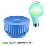 Умная колонка Sber SberBoom Mini Dark Blue и умная лампа в подарок + возврат 51% (SberBoom Lite Blue в описании)