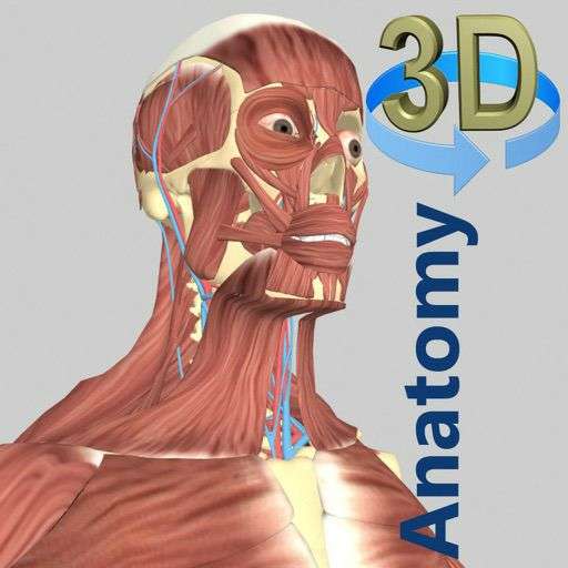 [iOS] 3D Anatomy