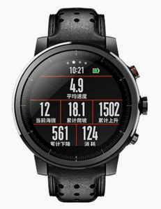 Умные часы Amazfit Stratos 2s premium edition