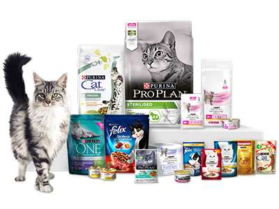 -20% на корм Proplan для кошек и собак в зоомагазины из списка