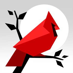 [iOS] Cardinal Land - Танграм пазл