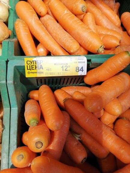 [МО] Морковь свежая