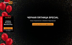 Пожизненная подписка на PornHub (300$)