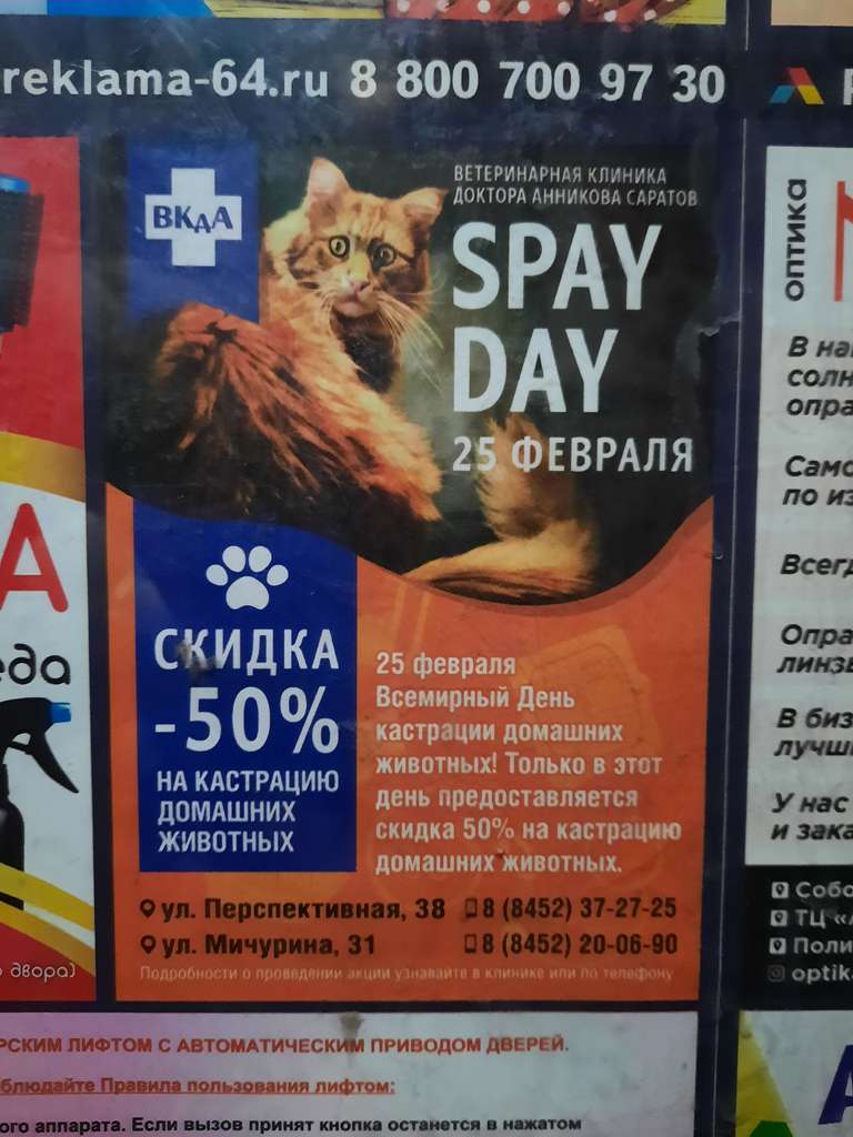 [Саратов] Кастрация домашних животных со скидкой 50% в клинике "ВКдА"