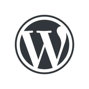 Скидка 40% на все годовые планы WordPress