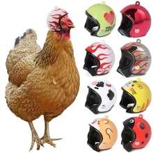 Жесткий шлем для маленьких домашних животных (напр, куриц)