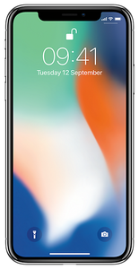 Смартфон Apple iPhone X 256GB серебристый