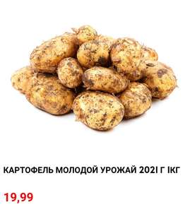 [СПБ] Картофель молодой 1 кг в ТК Народный