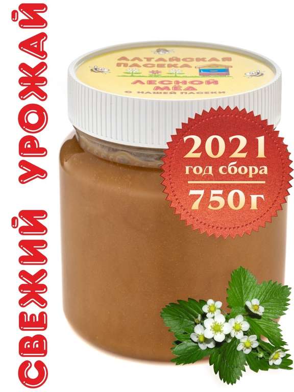 Мёд Лесной (СБОР 2021г), 750 г Алтайские Пасеки