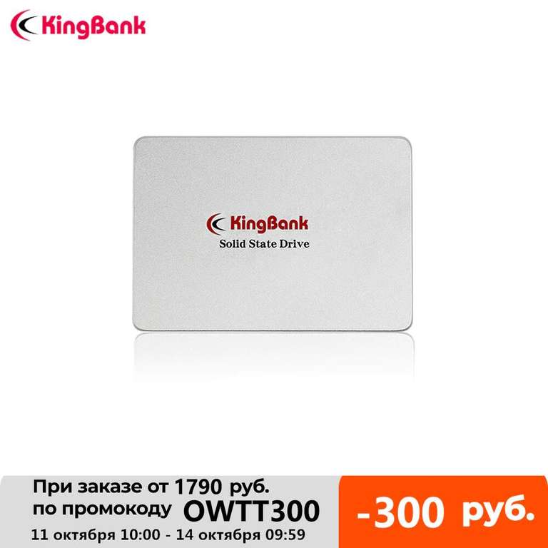 Kingbank KP330 SSD 240 Gb в металлическом корпусе