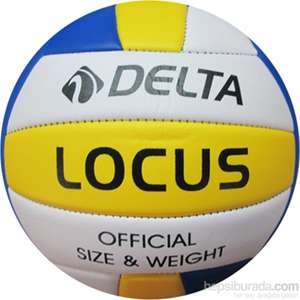 Волейбольный мяч Delta