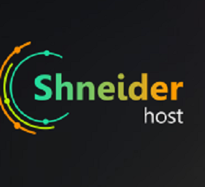 Хостинг от Shneider Host от месяца до года со скидкой 50% (+ домен при оплате на год)