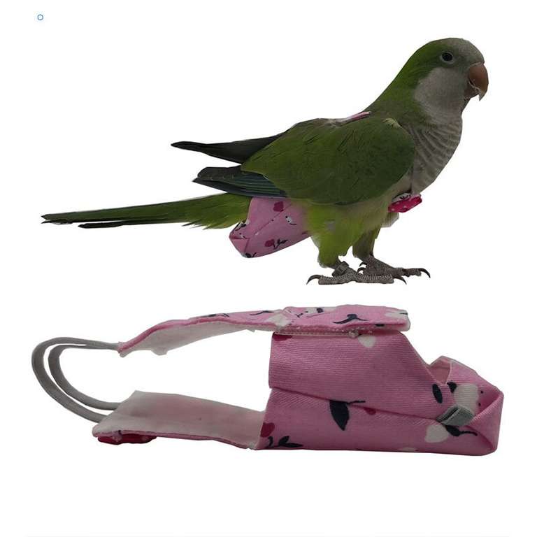 Подгузники для попугаев
