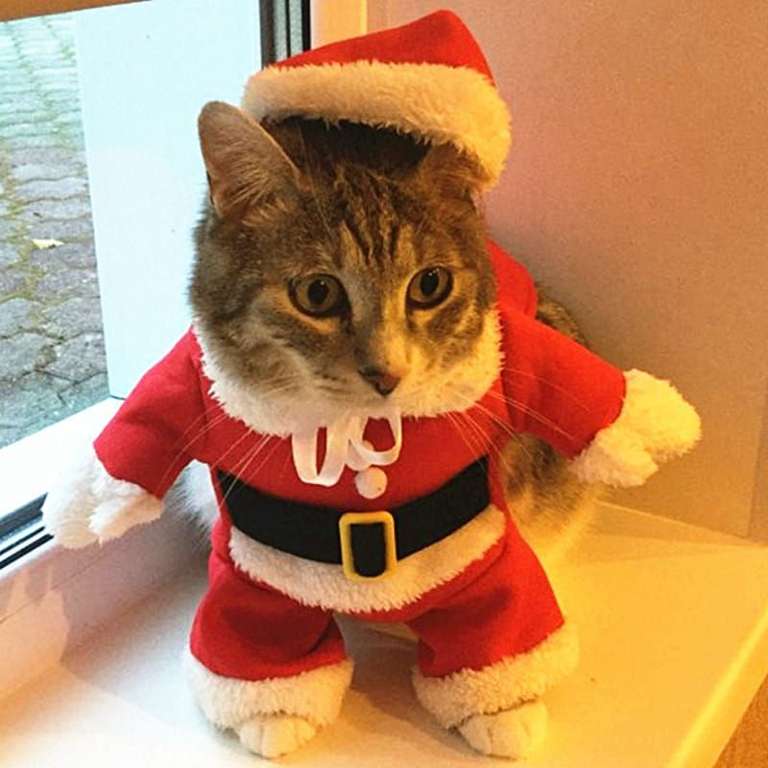 Рождественский костюм для котиков