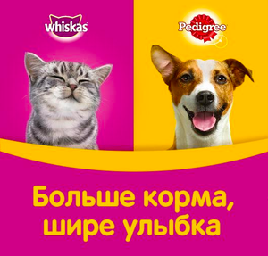 Двухнедельный набор корма Whiskas, либо Pedigree